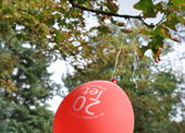 Den Charity 2012