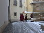 Ohlédnutí za koledou na brněnských institucích