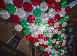 JoliFOTO-8332